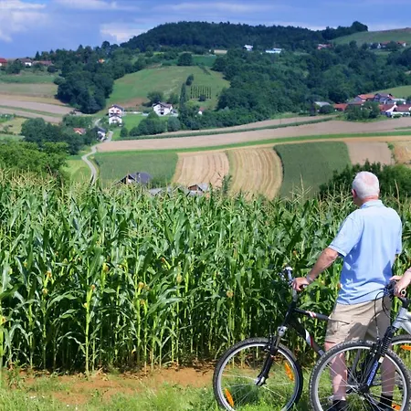 Apartamento Apartmaji Kisilak Rogašovci