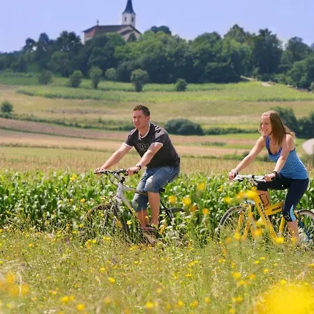 Apartmaji Kisilak Rogašovci