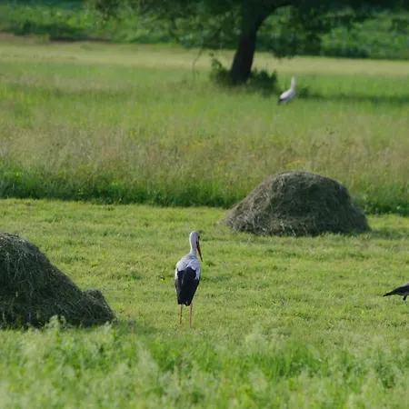 Apartmaji Kisilak Apartament