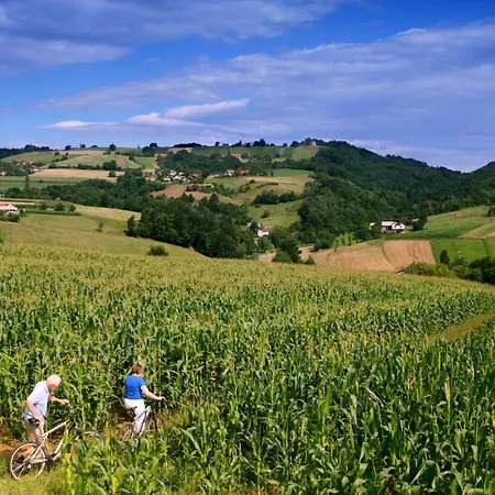 Apartmaji Kisilak Apartamento Rogašovci