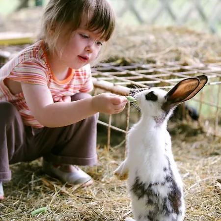 Apartamento Apartmaji Kisilak *