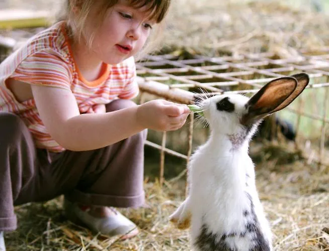 Appartement Apartmaji Kisilak *